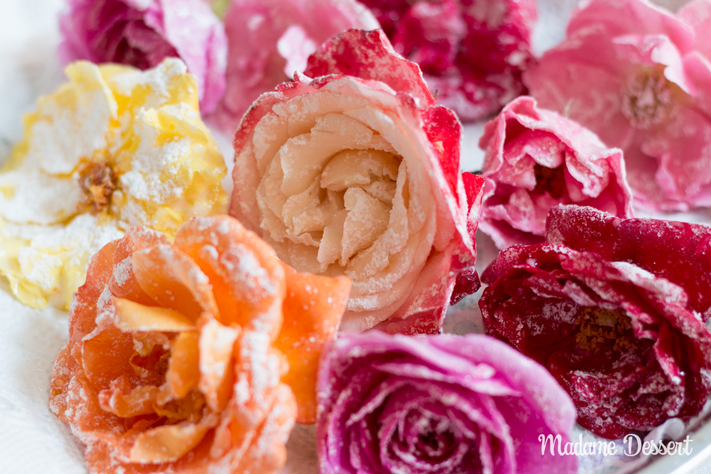 Kandierte Rosenblüten – Ein Fest für die Sinne | Madame Dessert