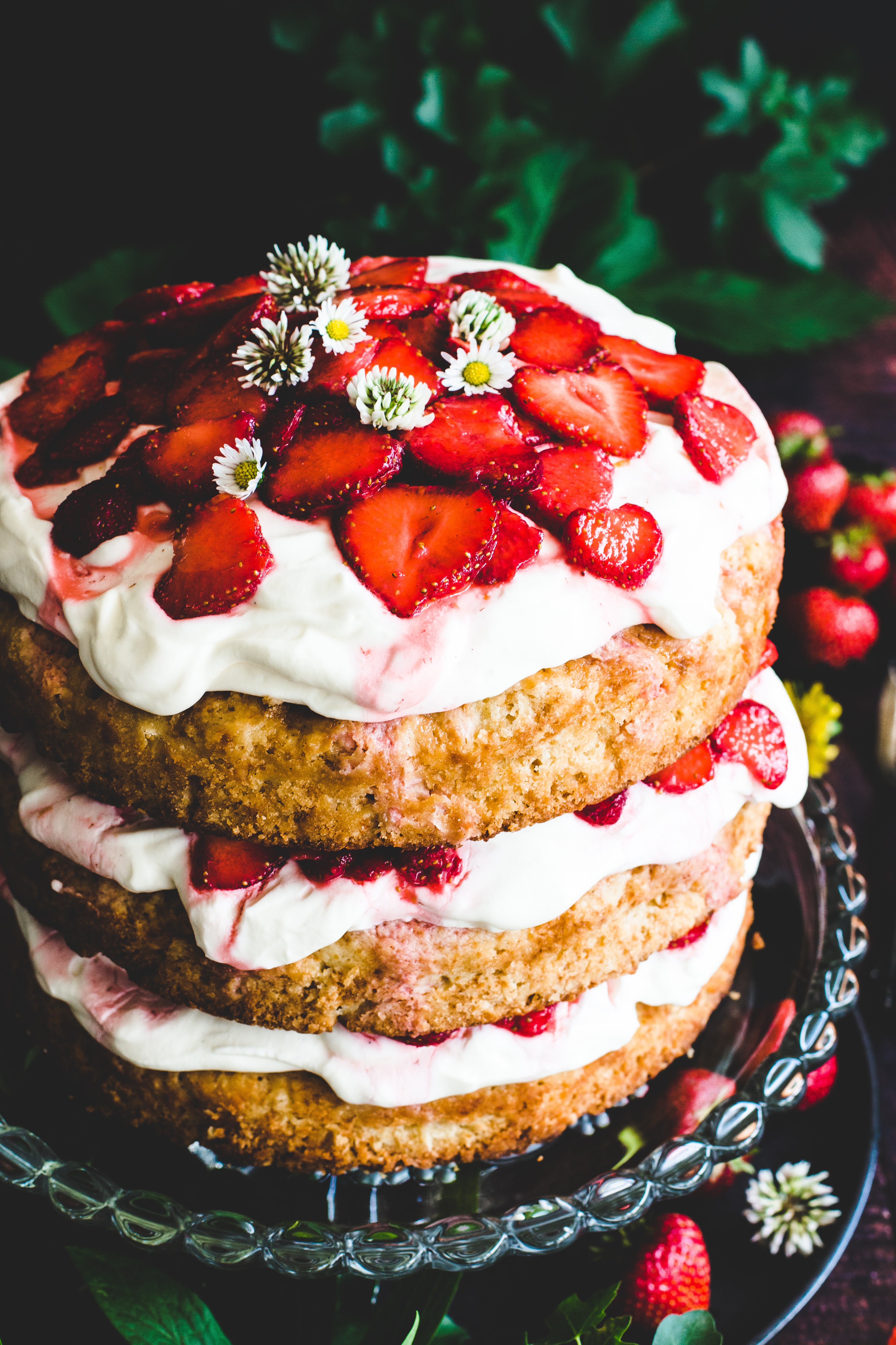 Strawberry Shortcake Die Besondere Erdbeertorte Madame Dessert