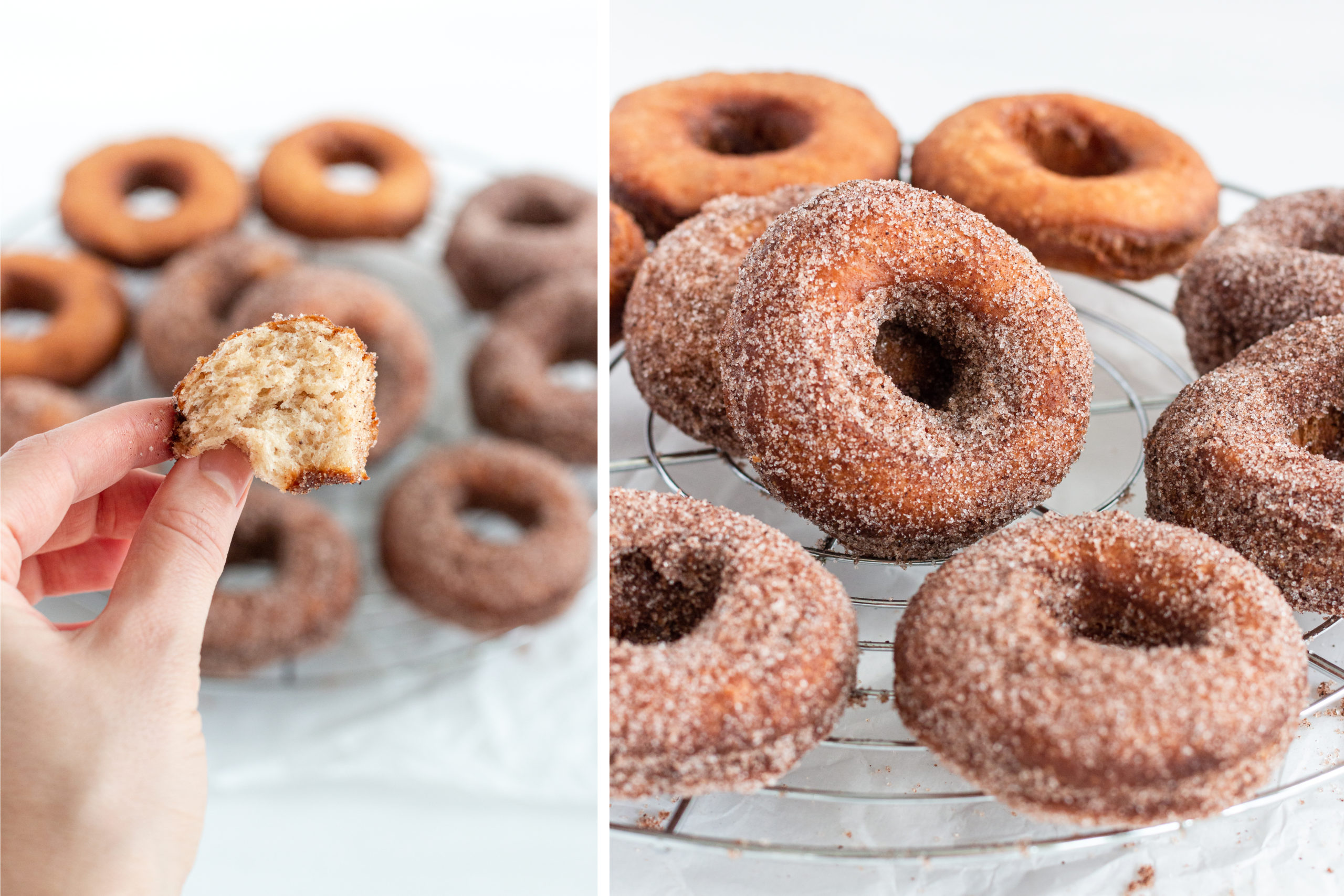 Süße Donuts aus Sauerteig – Einfaches Grundrezept | Madame Dessert